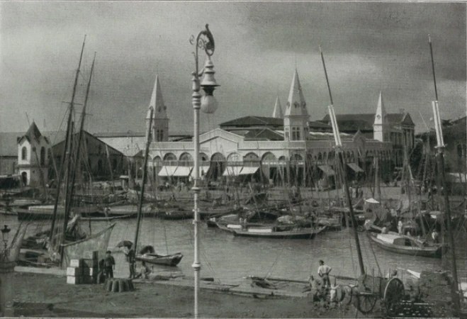 Da Amazônia aos Grand Prix: a história da borracha brasileira.